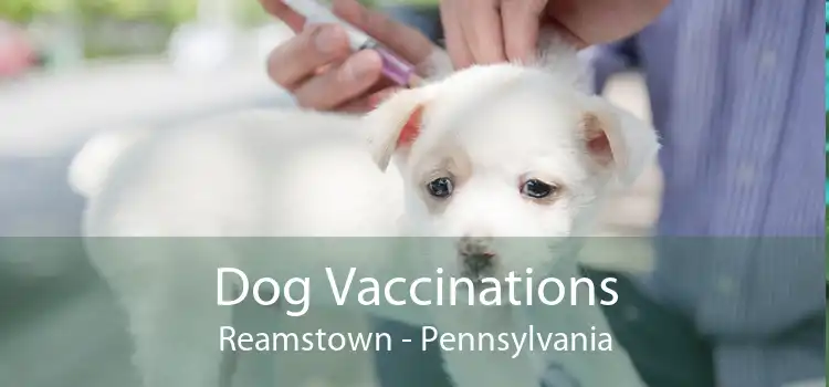 Dog Vaccinations Reamstown - Pennsylvania