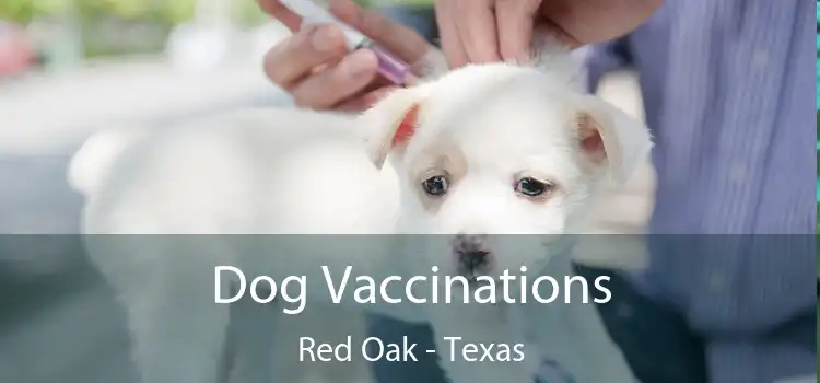 Dog Vaccinations Red Oak - Texas