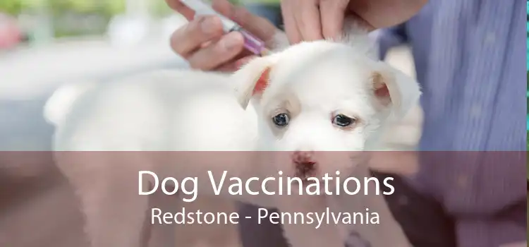 Dog Vaccinations Redstone - Pennsylvania