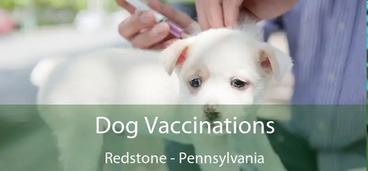 Dog Vaccinations Redstone - Pennsylvania