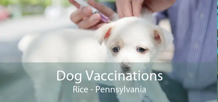 Dog Vaccinations Rice - Pennsylvania