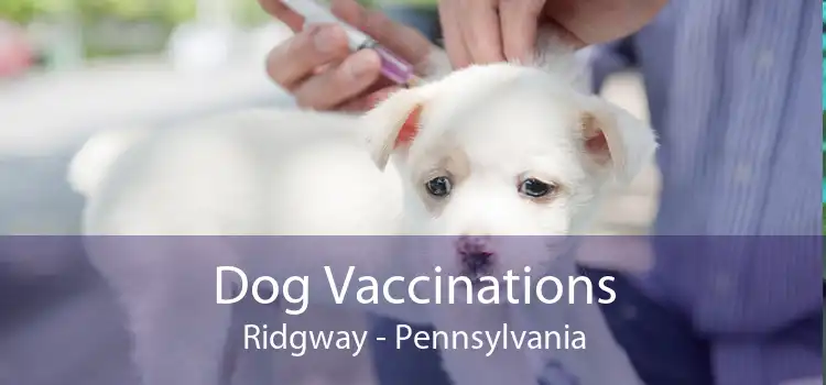 Dog Vaccinations Ridgway - Pennsylvania