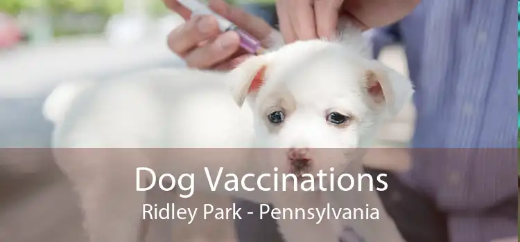 Dog Vaccinations Ridley Park - Pennsylvania