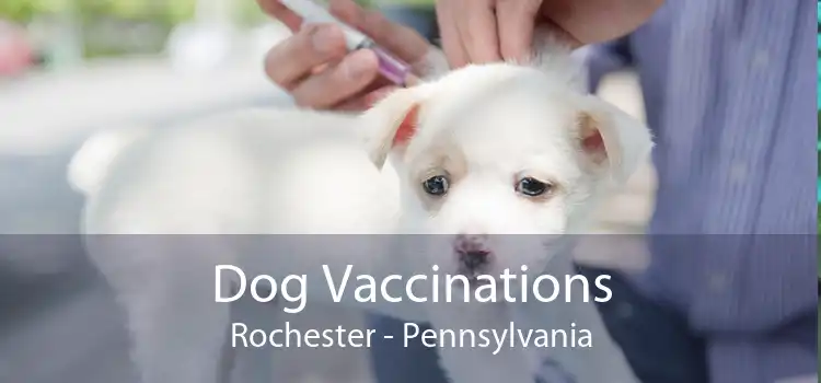 Dog Vaccinations Rochester - Pennsylvania