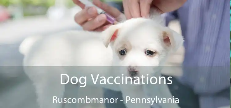 Dog Vaccinations Ruscombmanor - Pennsylvania