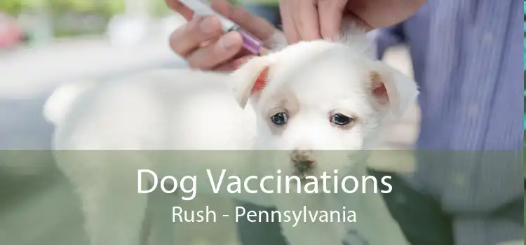 Dog Vaccinations Rush - Pennsylvania
