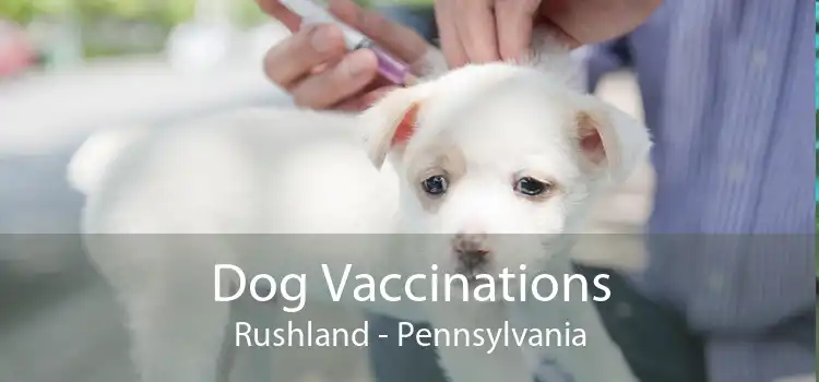Dog Vaccinations Rushland - Pennsylvania