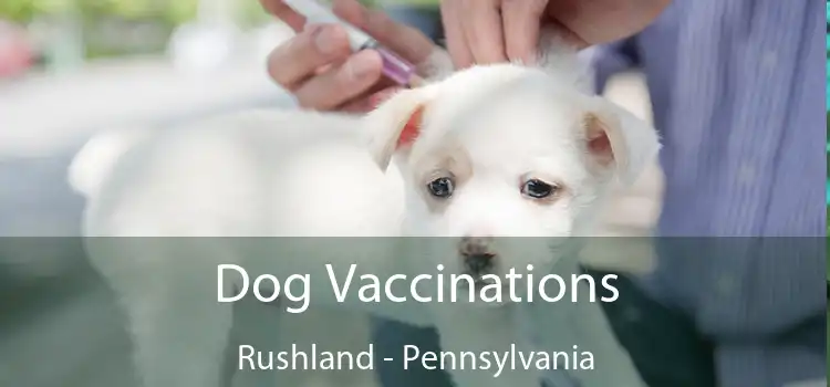 Dog Vaccinations Rushland - Pennsylvania