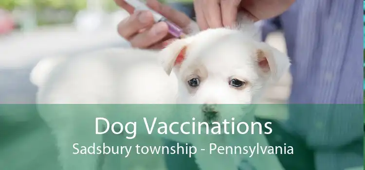 Dog Vaccinations Sadsbury township - Pennsylvania