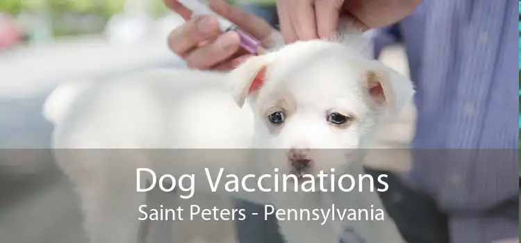 Dog Vaccinations Saint Peters - Pennsylvania