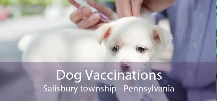 Dog Vaccinations Salisbury township - Pennsylvania