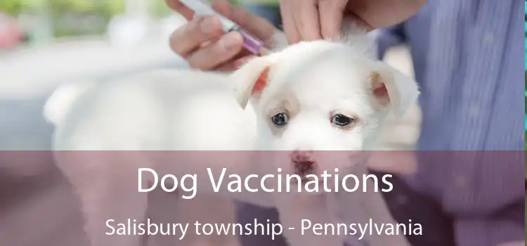 Dog Vaccinations Salisbury township - Pennsylvania