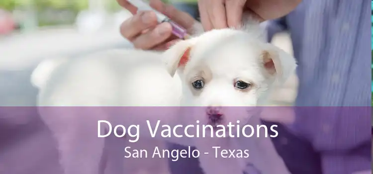 Dog Vaccinations San Angelo - Texas
