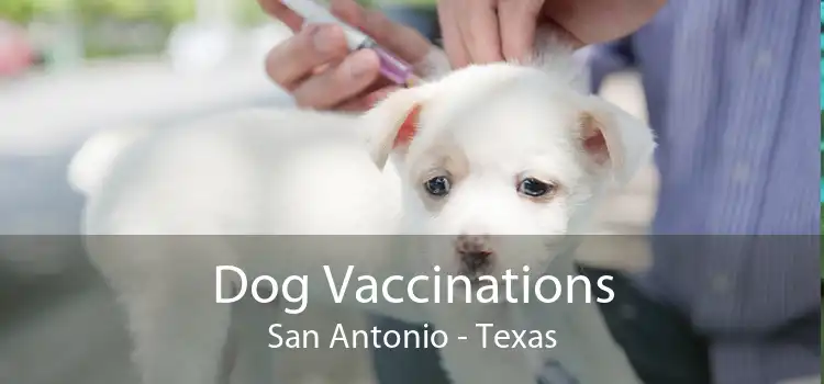 Dog Vaccinations San Antonio - Texas