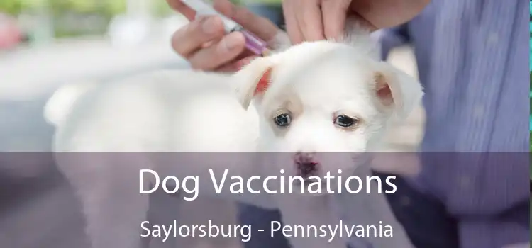 Dog Vaccinations Saylorsburg - Pennsylvania