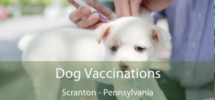 Dog Vaccinations Scranton - Pennsylvania