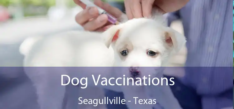 Dog Vaccinations Seagullville - Texas