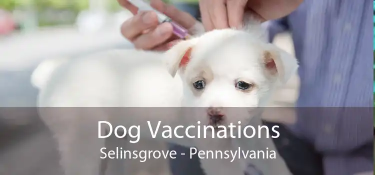 Dog Vaccinations Selinsgrove - Pennsylvania
