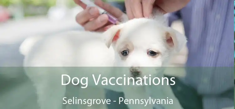 Dog Vaccinations Selinsgrove - Pennsylvania