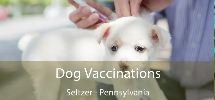 Dog Vaccinations Seltzer - Pennsylvania