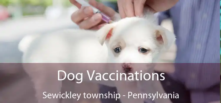Dog Vaccinations Sewickley township - Pennsylvania