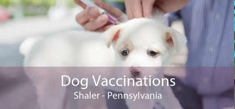 Dog Vaccinations Shaler - Pennsylvania