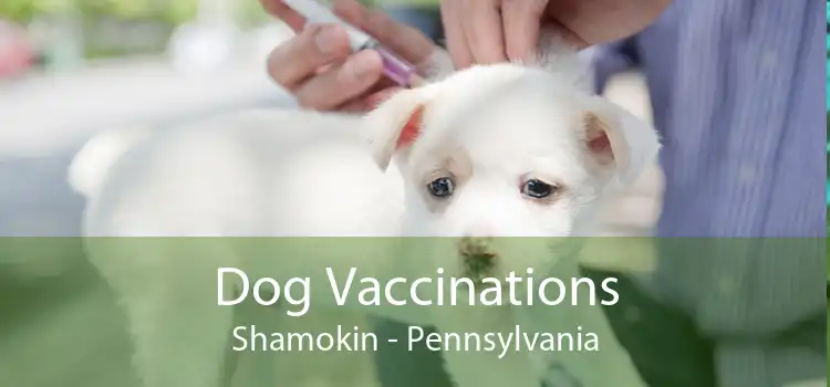 Dog Vaccinations Shamokin - Pennsylvania