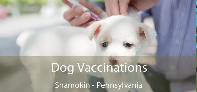 Dog Vaccinations Shamokin - Pennsylvania