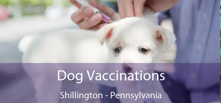 Dog Vaccinations Shillington - Pennsylvania