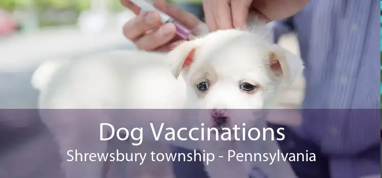 Dog Vaccinations Shrewsbury township - Pennsylvania