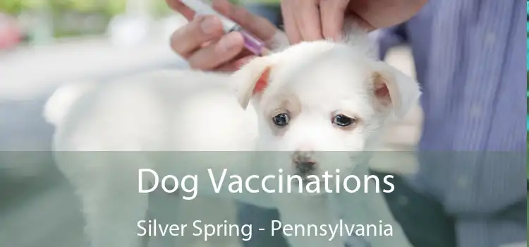 Dog Vaccinations Silver Spring - Pennsylvania