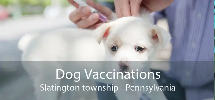 Dog Vaccinations Slatington township - Pennsylvania