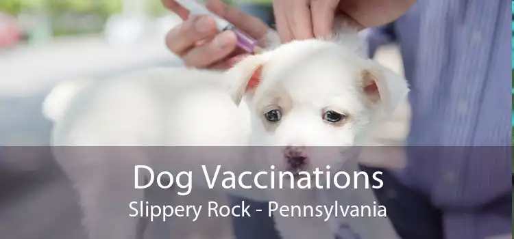 Dog Vaccinations Slippery Rock - Pennsylvania