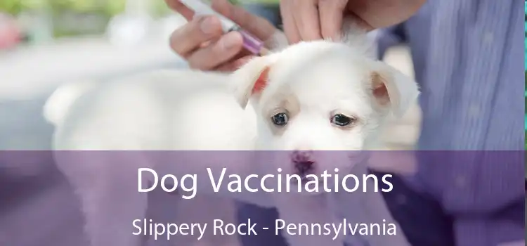 Dog Vaccinations Slippery Rock - Pennsylvania