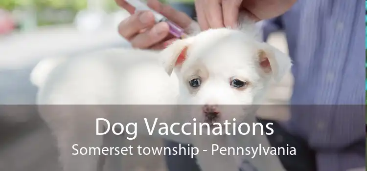 Dog Vaccinations Somerset township - Pennsylvania