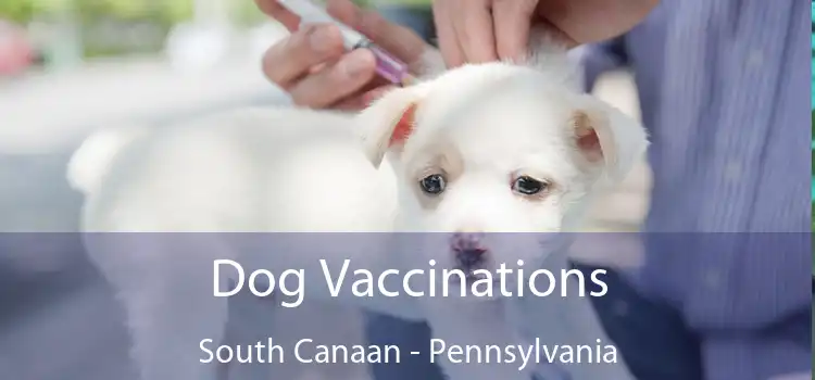 Dog Vaccinations South Canaan - Pennsylvania