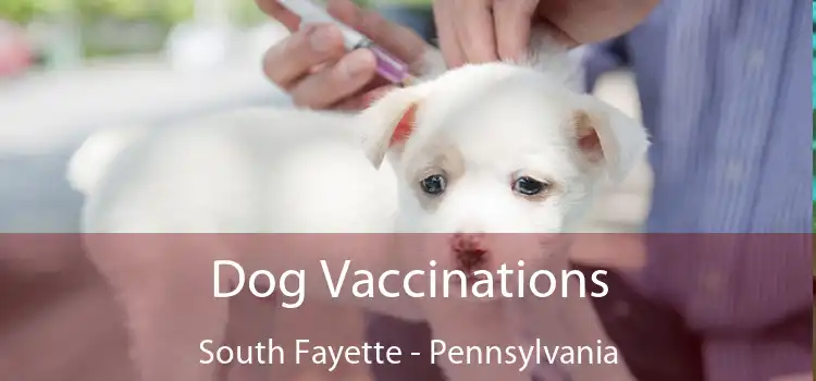 Dog Vaccinations South Fayette - Pennsylvania