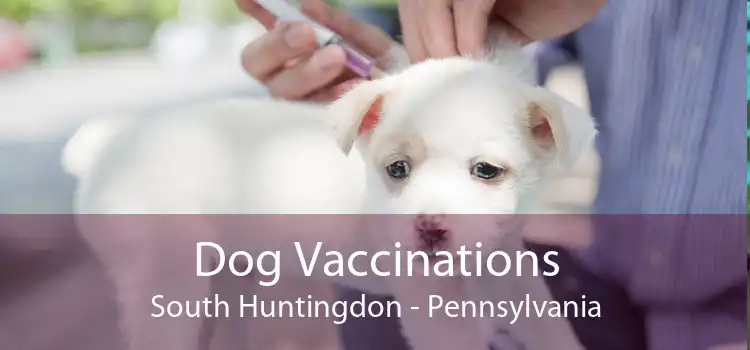 Dog Vaccinations South Huntingdon - Pennsylvania