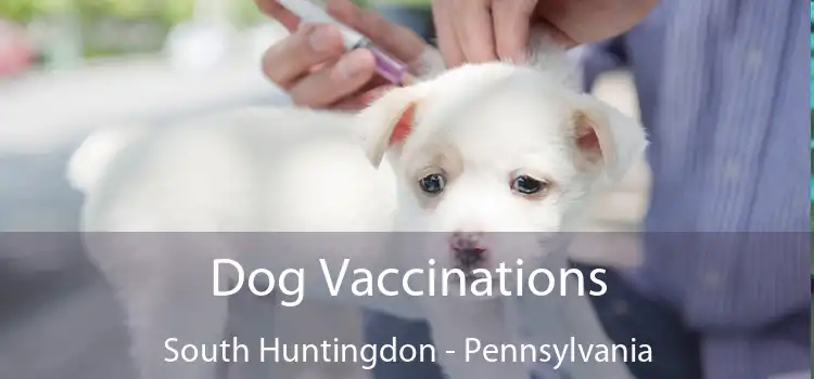 Dog Vaccinations South Huntingdon - Pennsylvania
