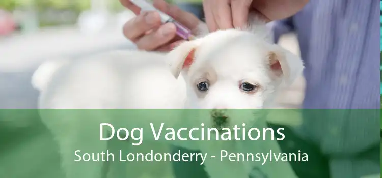 Dog Vaccinations South Londonderry - Pennsylvania