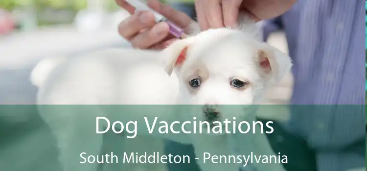 Dog Vaccinations South Middleton - Pennsylvania