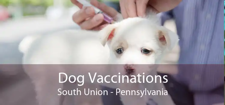 Dog Vaccinations South Union - Pennsylvania