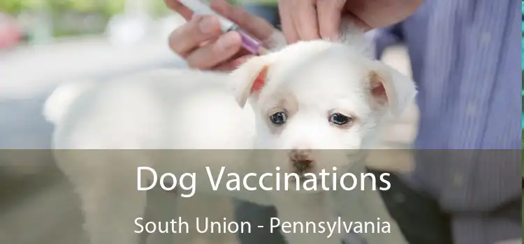 Dog Vaccinations South Union - Pennsylvania