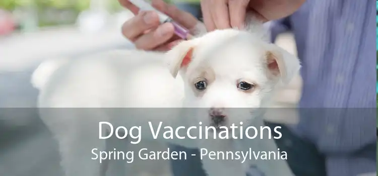 Dog Vaccinations Spring Garden - Pennsylvania