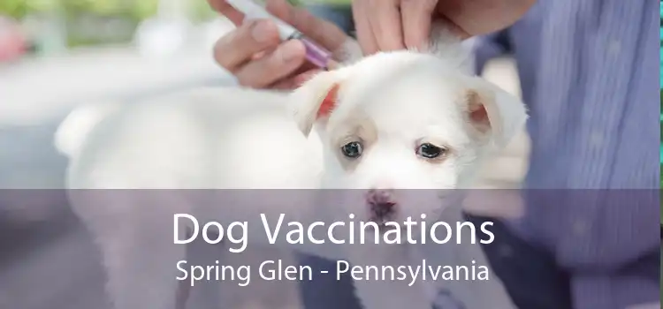 Dog Vaccinations Spring Glen - Pennsylvania