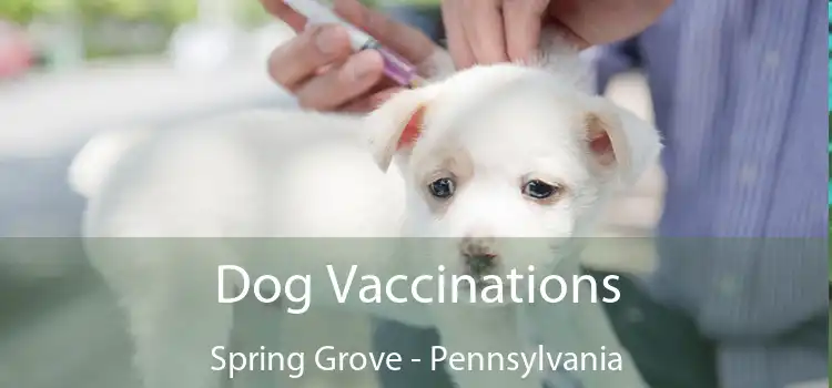 Dog Vaccinations Spring Grove - Pennsylvania
