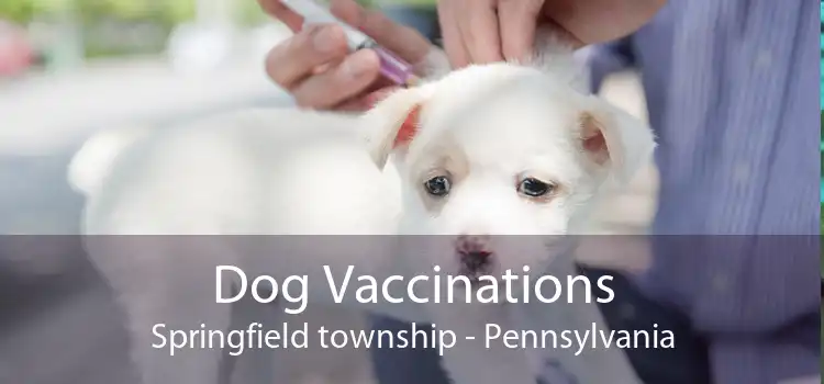 Dog Vaccinations Springfield township - Pennsylvania