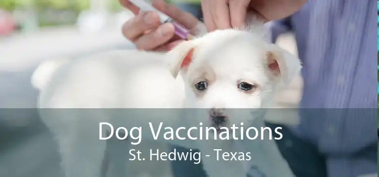 Dog Vaccinations St. Hedwig - Texas