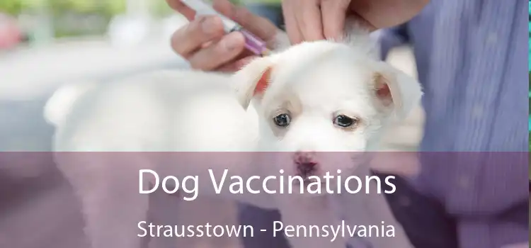 Dog Vaccinations Strausstown - Pennsylvania