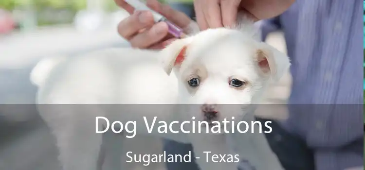 Dog Vaccinations Sugarland - Texas